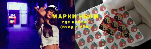 ГАЛЛЮЦИНОГЕННЫЕ ГРИБЫ Бородино