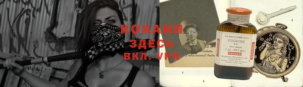 ГАЛЛЮЦИНОГЕННЫЕ ГРИБЫ Бородино