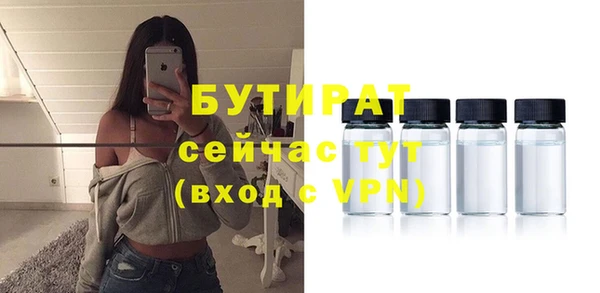 ГАЛЛЮЦИНОГЕННЫЕ ГРИБЫ Бородино