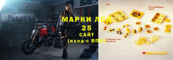 ГАЛЛЮЦИНОГЕННЫЕ ГРИБЫ Бородино