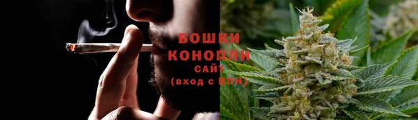 ГАЛЛЮЦИНОГЕННЫЕ ГРИБЫ Бородино