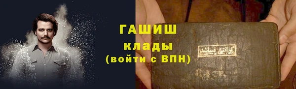 ГАЛЛЮЦИНОГЕННЫЕ ГРИБЫ Бородино