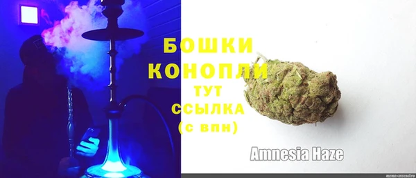 ГАЛЛЮЦИНОГЕННЫЕ ГРИБЫ Бородино