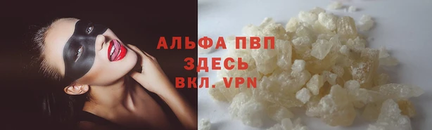 ГАЛЛЮЦИНОГЕННЫЕ ГРИБЫ Бородино