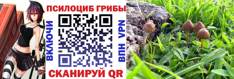 Галлюциногенные грибы прущие грибы Гаврилов-Ям